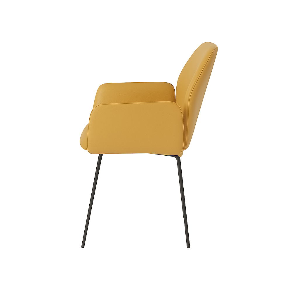 Scaun piele ROSIE | model PETRA